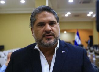 Exportadores hondureños de café celebran prórroga de la UE a ley contra la deforestación