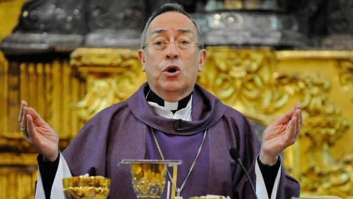 cardenal Rodríguez morado