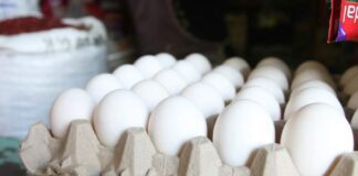 Ingredientes para torrejas y nacatamales comienzan escalada de precios; huevos suben L. 10 en Zonal Belén