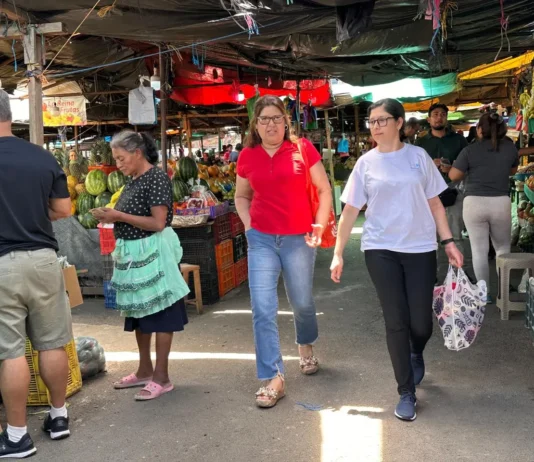 Ferias populares laborarán del lunes 22 al miércoles 24 de diciembre