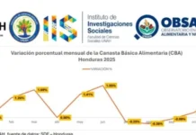 OBSAN-UNAH reporta aumento del 6.33 % en la Canasta Básica de enero a noviembre de 2025