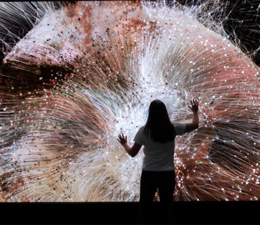 La mayor feria de arte empieza en Miami con destacada presencia latina y temas migratorios