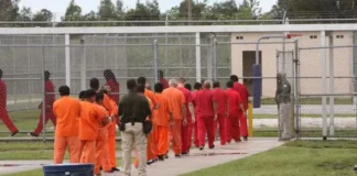 AI denuncia ‘tortura en una jaula’ y «desapariciones» en centros migratorios de Florida