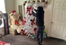 Migrantes en EEUU ruegan ser «invisibles» para los agentes de Inmigración en esta Navidad