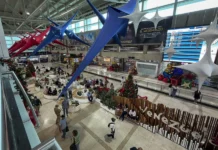 Estados Unidos levantará las restricciones de vuelo en el Caribe a partir de la medianoche